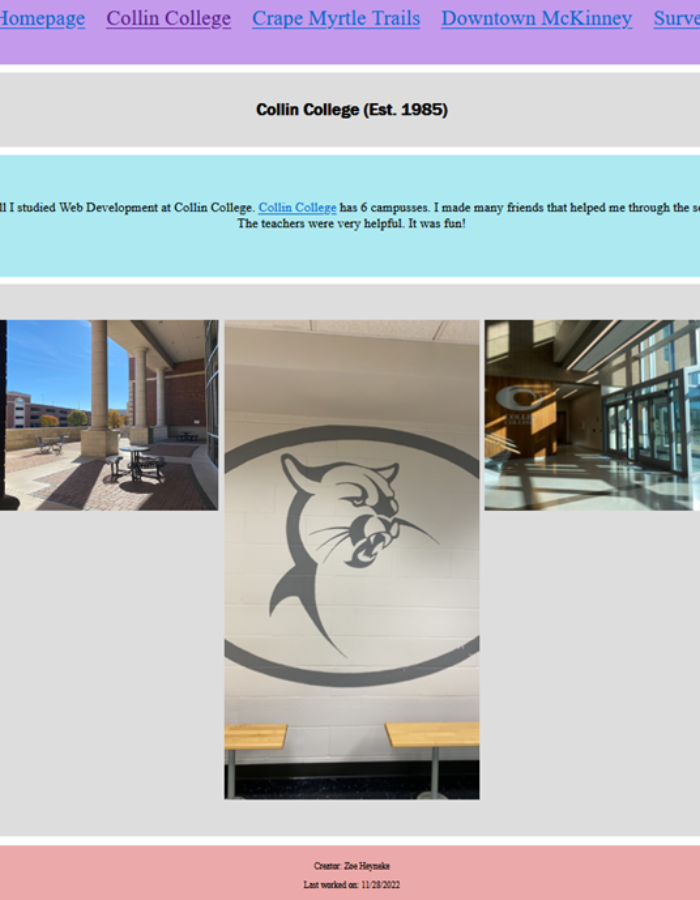 collin college